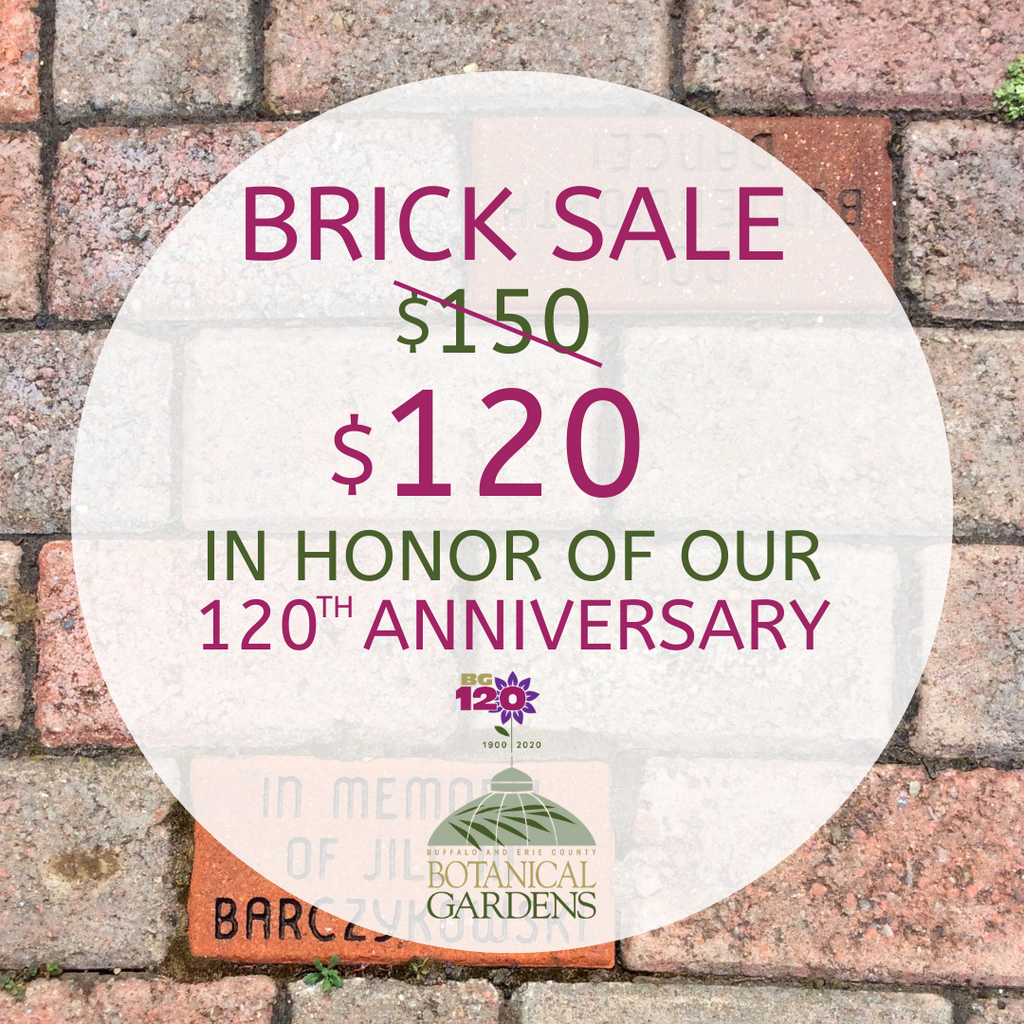 120th Anniversary Brick Sale!