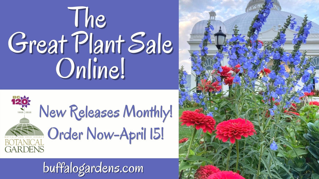 The Great Plant Sale is Available Online Now through April 15 with Curbside Pickup in May!