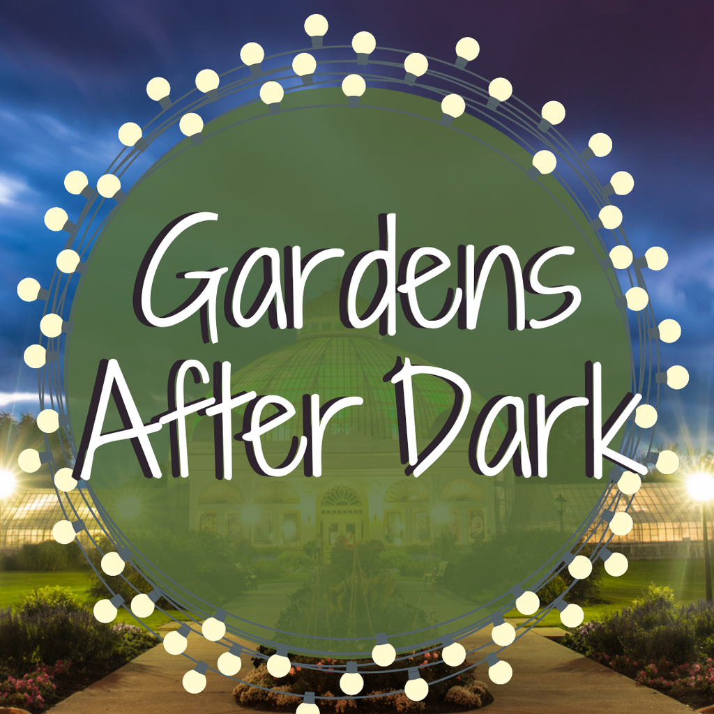 The Botanical Gardens Announced a Brand New Series of Exhibits Titled Gardens After Dark!