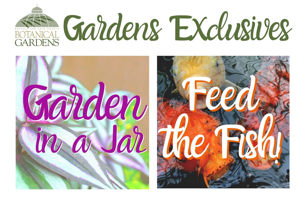 Feed the Fish or Create a Garden in a Jar On-Site at the Botanical Gardens