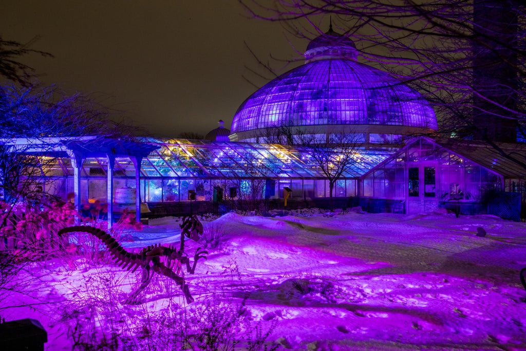Gardens After Dark: Enchanted Winter Escape Returns to the Botanical Gardens with Date Nights, Family Nights, and More!