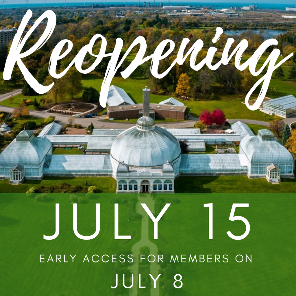 The Botanical Gardens Reopens to the Public on July 15 With Early Access for Members on July 8