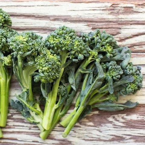 VH10. Piracicaba Broccoli, Brassica oleracea ‘Piracicaba’