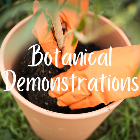 NEW! Botanical Demonstrations