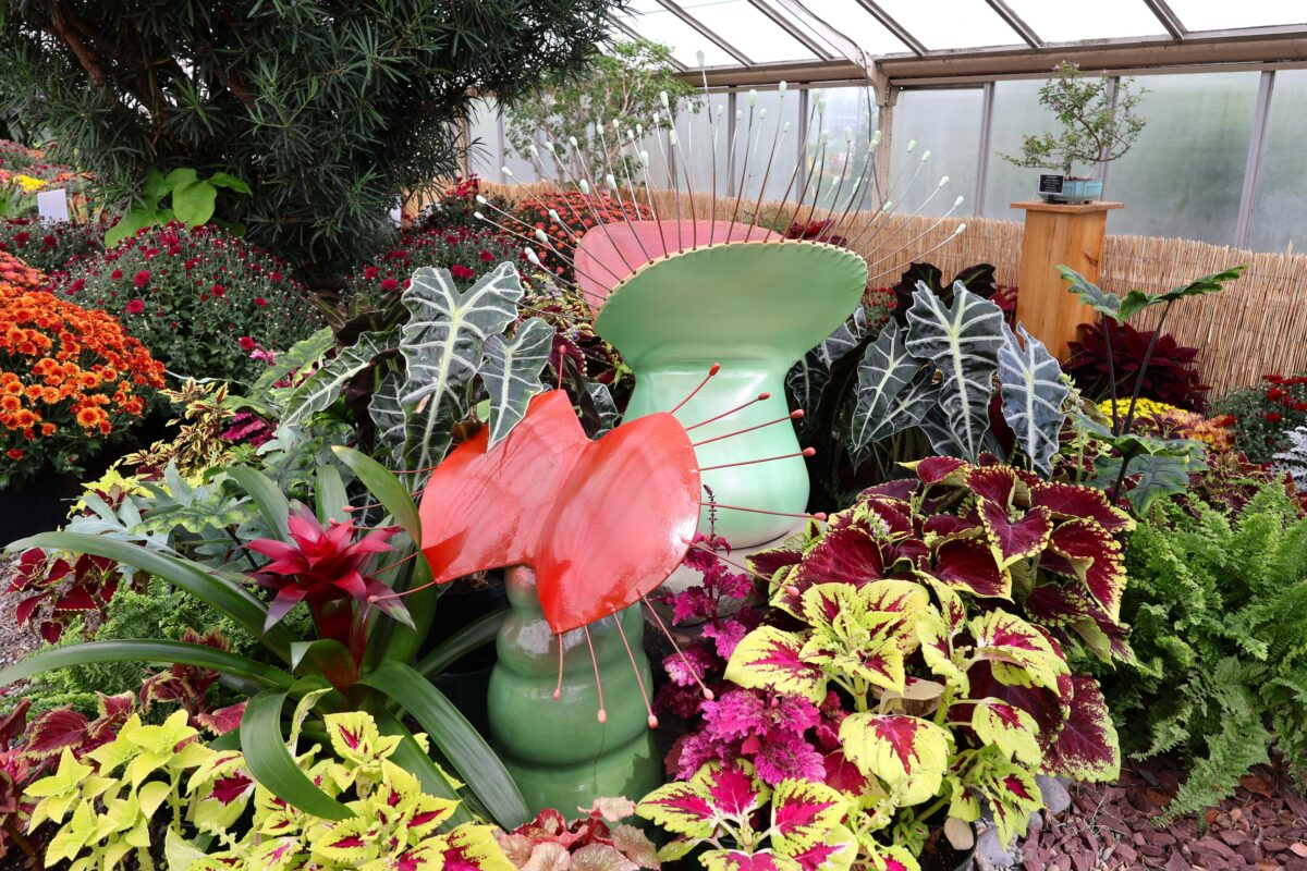 Venus flytrap sculptures sitting in a plant bed during the Botanical Gardens' carnivorous plant exhibit, Mutation Invasion.