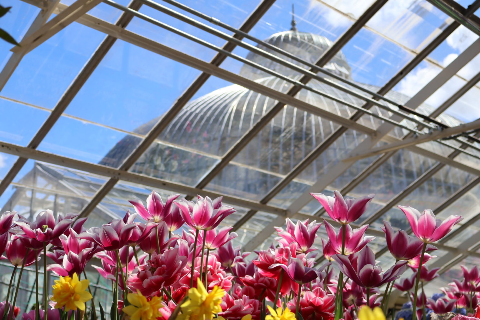 Buffalo and Erie County Botanical Gardens | Open daily: 10am-4pm