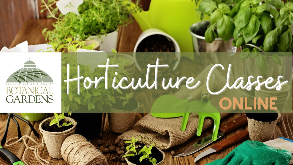 Online Horticulture Classes Announced at the Botanical Gardens