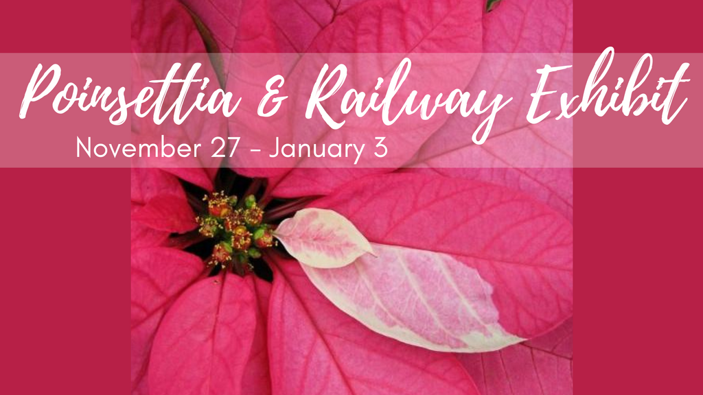 Poinsettia & Railway Exhibit, Santa’s Workshop and a BOGO Day Announced at the Botanical Gardens!