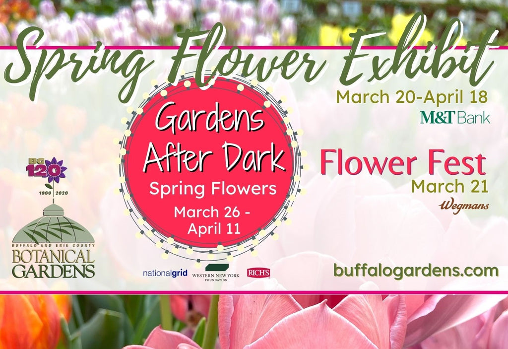 SPRING... a Spectacular Time of Year at the Botanical Gardens – During the Day and After Dark!