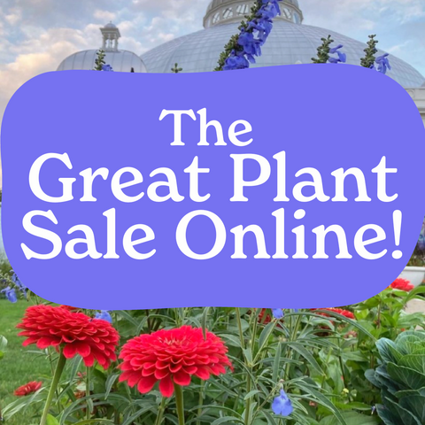 Great Plant Sale ONLINE 2024