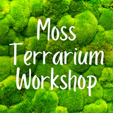Moss Terrarium Workshop