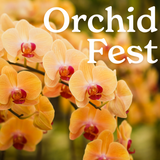 Orchid Fest