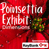 Poinsettia Exhibit: Dimensions