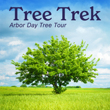 Tree Trek