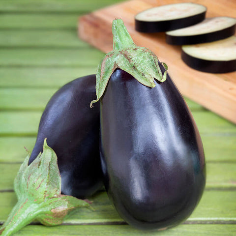 VH42. Eggplant, Solanum melongena ‘Black Beauty’