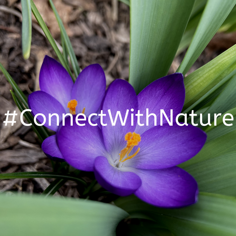 #ConnectWithNature
