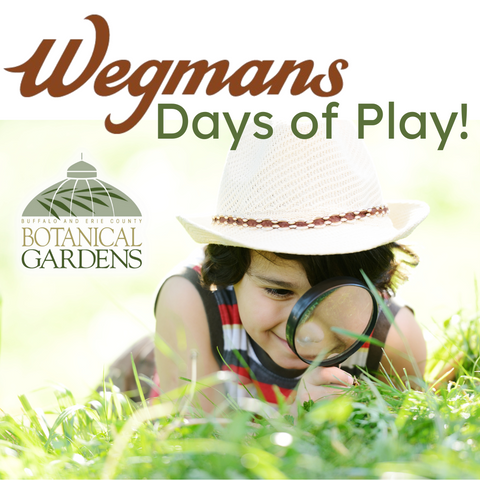 Wegmans Days of Play!