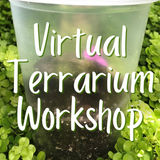 Virtual Terrarium Workshop